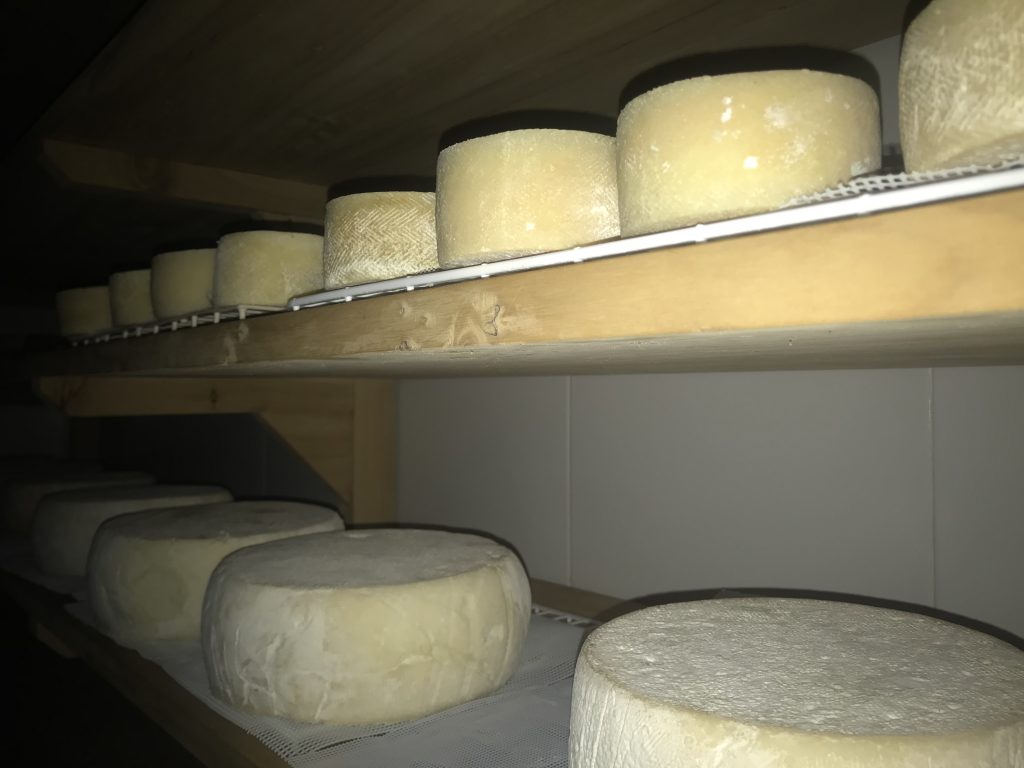 Queso Tipo Manchego de Cabra Chevrier